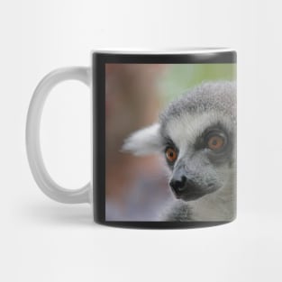 Ring-Tailed Lemur 2 Mug